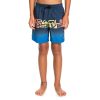 * Excellent Quiksilver Word Block 14 Boys Boardshorts Hot