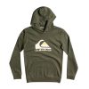 * Delicate Quiksilver Big Logo Boys Pullover Hoodie Online