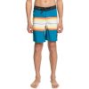 * Latest Quiksilver Surfsilk Resin Boys Boardshorts New